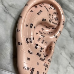 耳つぼセラピー受講講座のご案内の画像