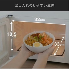 【引き渡し限定】TWINBIRD 電子レンジ フラット電子レンジ 20L 白 DR-LD20W ホワイトの画像