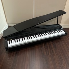 KORG マイクロピアノの画像