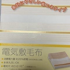 (4.1 10時)電気毛布