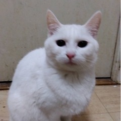 里親様が決まりました。