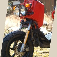 苫小牧港受取 11650円 ディスク化 『ズーマー』ZOOMER 純正部品にてアルミ/金フォーク 千葉茨城北海道ライブディオ 金フォーク流用ディスク化 RUCKUS Disk conversionの画像