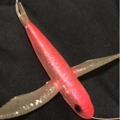 ジェット、半袖半ズボンのウェットの画像