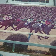 競馬ファン必見❗【画像の全て】有馬記念　オグリキャップ号　ディープインパクト タニノギムレット  武豊騎手 記念グッズ 写真集の画像