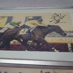 競馬ファン必見❗【画像の全て】有馬記念　オグリキャップ号　ディープインパクト タニノギムレット  武豊騎手 記念グッズ 写真集の画像