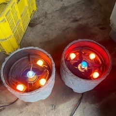 ライト