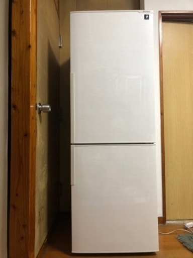 家電 キッチン家電 冷蔵庫