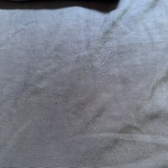 服/ファッション Tシャツ メンズの画像