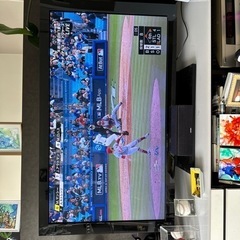 家電 テレビ 液晶テレビ