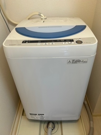 家電 生活家電 洗濯機
