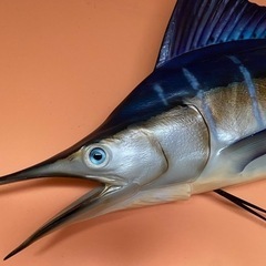 ブルーマーリン　カジキ　壁掛け　オブジェの画像