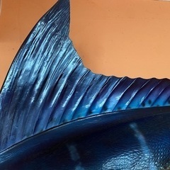 ブルーマーリン　カジキ　壁掛け　オブジェの画像