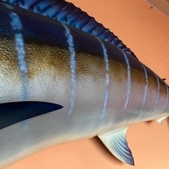 ブルーマーリン　カジキ　壁掛け　オブジェの画像