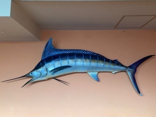 ブルーマーリン　カジキ　壁掛け　オブジェ