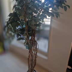 フェイクグリーンの画像