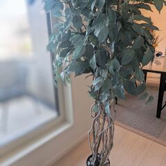 フェイクグリーン