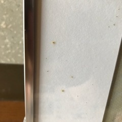 額縁の画像