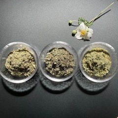 若よもぎ蒸し🌱