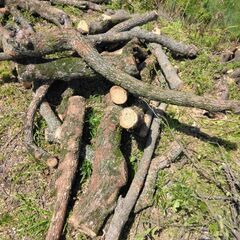 薪にいかがでしょうか。の画像