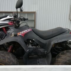Unilli ATV50 LTD spec atv　ユナリの画像