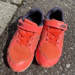 PUMAの靴(決まりました)!