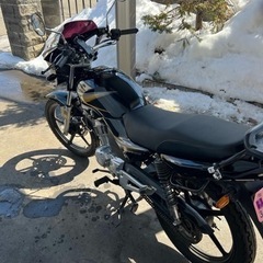 札幌発　バイク ヤマハYBR125の画像