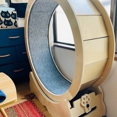 キャットホイール（ほぼ未使用）の画像