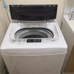 家電 生活家電 洗濯機