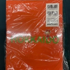 レア　リボンちゃんとめぐる北海道179市町村の画像