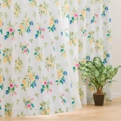 値下げ！ニトリ　レモンフラワー　100×200 2枚組　新品　の画像