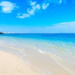 今年初海に行きませんか？？🤿４月４日(木)１０時半