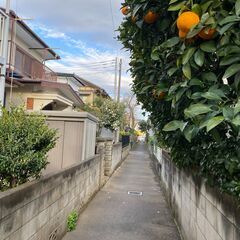 価格変更しました！武蔵村山市大南　木造2階建空家３DK　宅建業者売主から直接お売りします - 不動産売買（マンション/一戸建て）