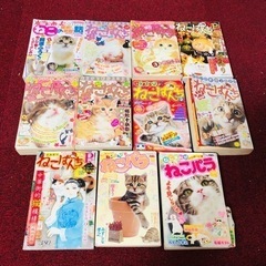 ねこぱんち　マンガ　１１冊✨