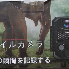 トレイルカメラ