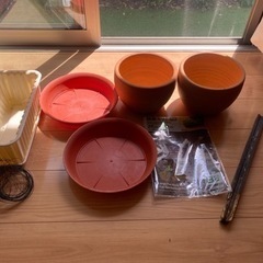 プランター、植木鉢