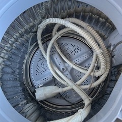 家電 生活家電 洗濯機の画像