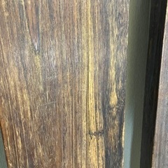 箏 琴 琴柱 撥 バチ 13弦 鼈甲？ 楽器　和楽器の画像