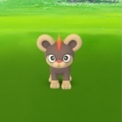 LINE友達とポケモンGO巡り - 新潟市