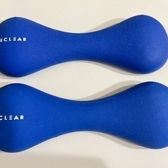 薄型なダンベル2kg × 2個セット