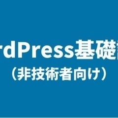 【残り1名】サイト作り、プログラミングの相談聞きます