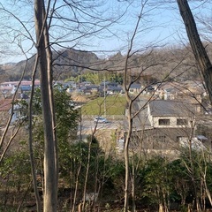 【山林売買】埼玉県300坪弱［アクセス良好］の画像