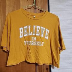 レディース、キッズTシャツ