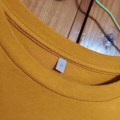 レディース、キッズTシャツの画像