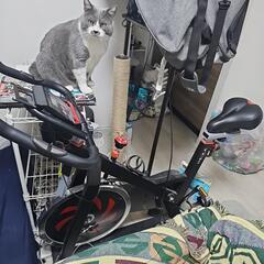 フィットネス自転車の画像