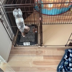 ペットゲージ　値引き可能の画像