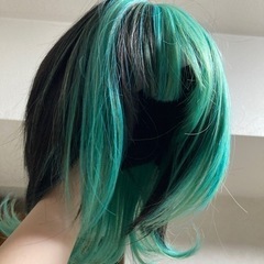 ウィッグ コスプレ 美品