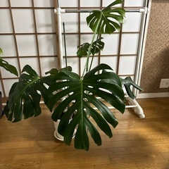 生活雑貨 家庭用品 ガーデニング