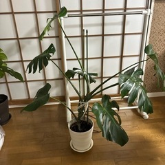 生活雑貨 家庭用品 ガーデニング