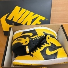 Nike Air Jordan 1 High OG "Polle...