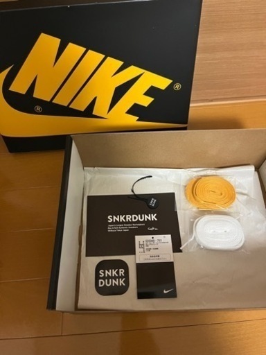 Nike Air Jordan 1 High OG "Pollen" パラン